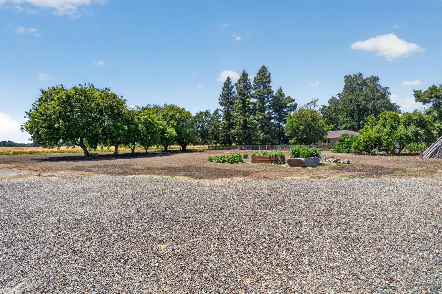 Woodland, California, 95776, United States, 5 Bedrooms Bedrooms, ,3 BathroomsBathrooms,Residential,Pending,2045625
