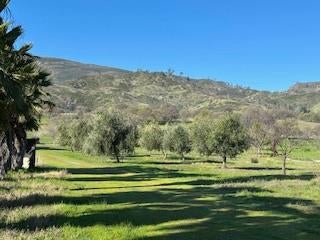 Guinda, California, 95637, United States, 2 Bedrooms Bedrooms, ,5 BathroomsBathrooms,Residential,Active,1894581