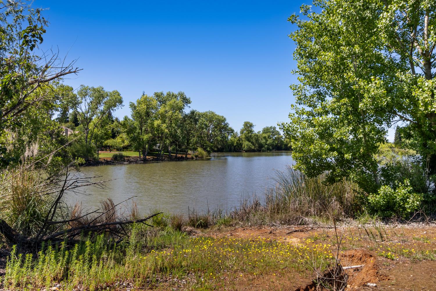 Sacramento, California, 95830, United States, 4 Bedrooms Bedrooms, ,4 BathroomsBathrooms,Residential,Active,2045041