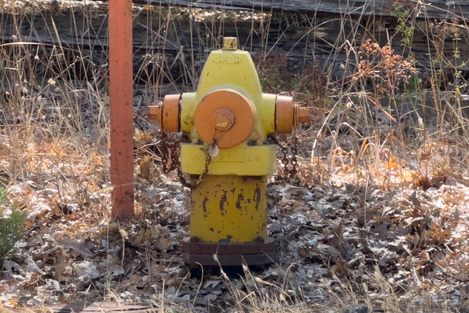 Nevada City, California, 95959, United States, 4 Bedrooms Bedrooms, ,5 BathroomsBathrooms,Residential,Active,1808164