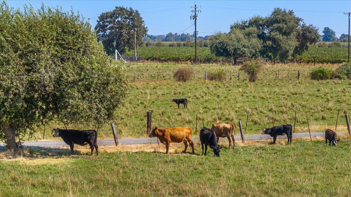 Galt, California, 95632, United States, 3 Bedrooms Bedrooms, ,3 BathroomsBathrooms,Residential,Active,2010524