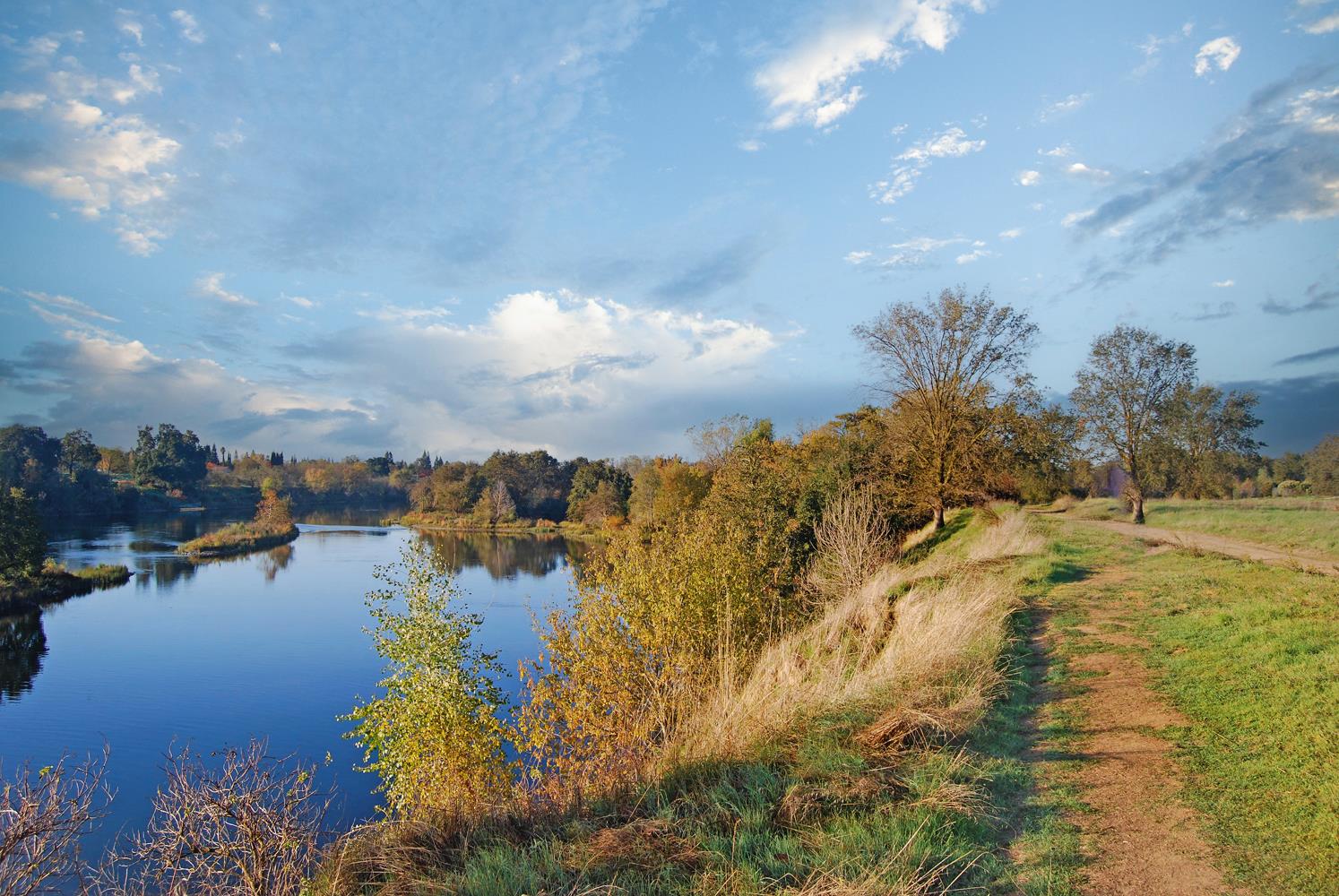 Sacramento, California, 95864, United States, 4 Bedrooms Bedrooms, ,3 BathroomsBathrooms,Residential,Active,1959963