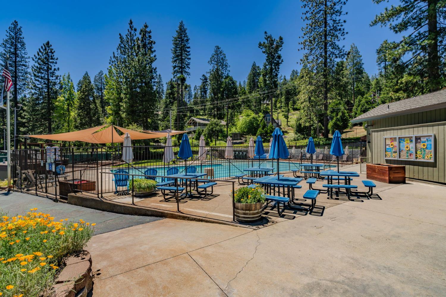 Arnold, California, 95223, United States, 3 Bedrooms Bedrooms, ,5 BathroomsBathrooms,Residential,Active,2044178