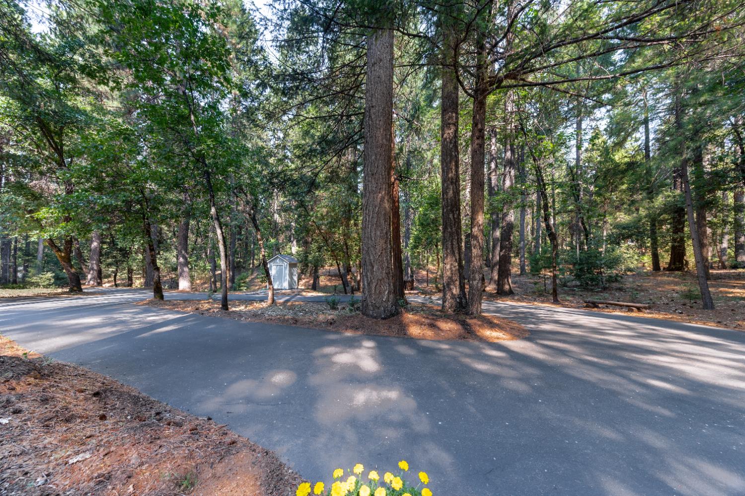 Nevada City, California, 95959, United States, 3 Bedrooms Bedrooms, ,4 BathroomsBathrooms,Residential,Active,1919052