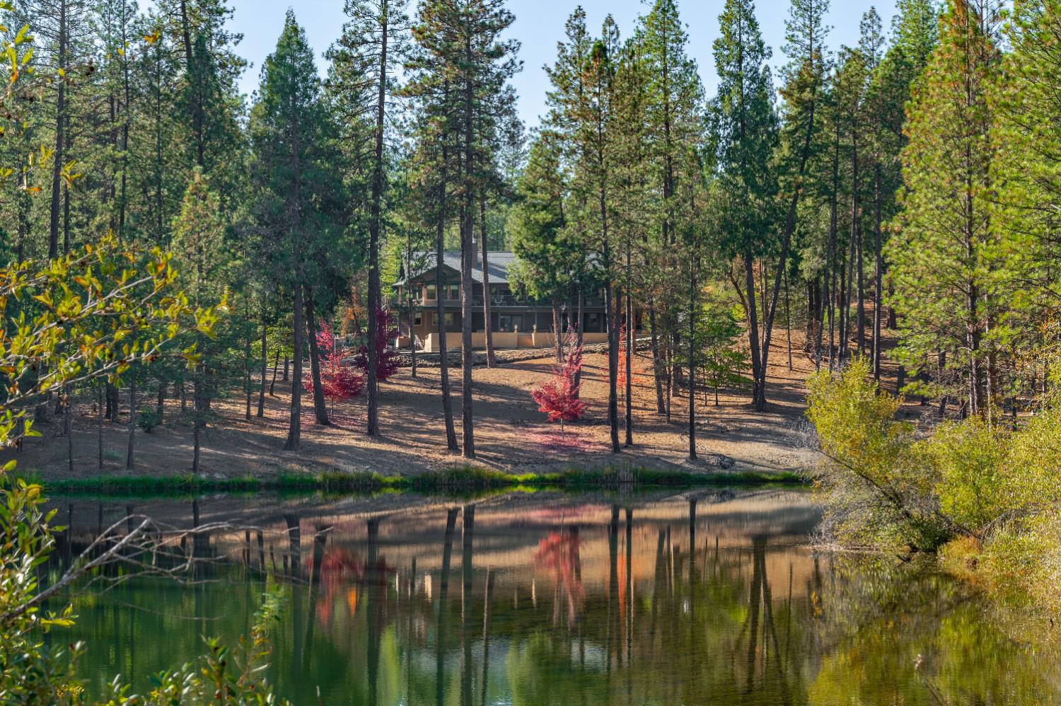 Nevada City, California, 95959, United States, 4 Bedrooms Bedrooms, ,4 BathroomsBathrooms,Residential,Active,2043131