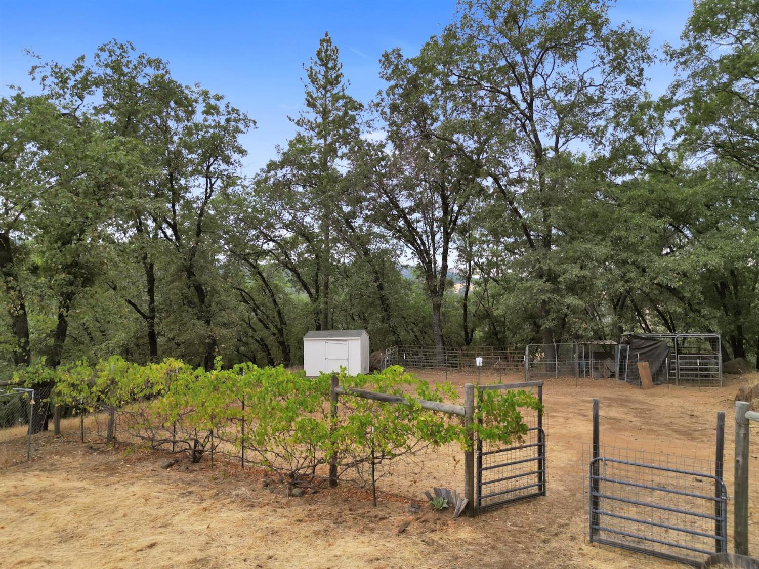 Grass Valley, California, 95949, United States, 4 Bedrooms Bedrooms, ,5 BathroomsBathrooms,Residential,Active,1941342