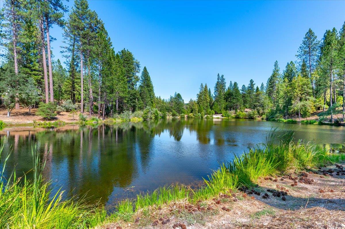 Nevada City, California, 95959, United States, 4 Bedrooms Bedrooms, ,4 BathroomsBathrooms,Residential,Active,1919076