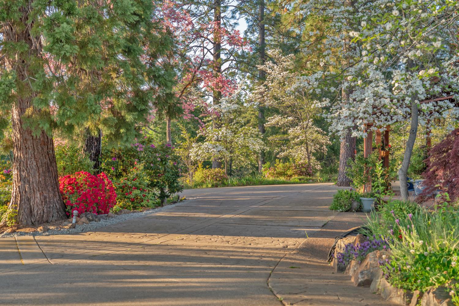 Placerville, California, 95667, United States, 3 Bedrooms Bedrooms, ,3 BathroomsBathrooms,Residential,Active,1834323