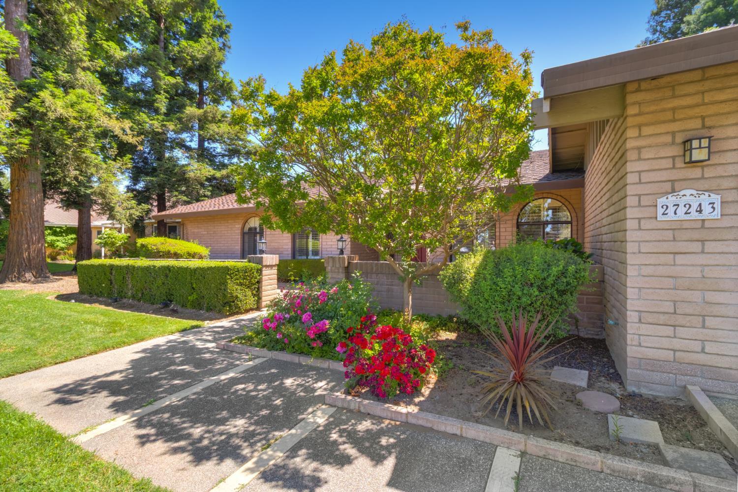 El Macero, California, 95618, United States, 3 Bedrooms Bedrooms, ,3 BathroomsBathrooms,Residential,Active,1972139