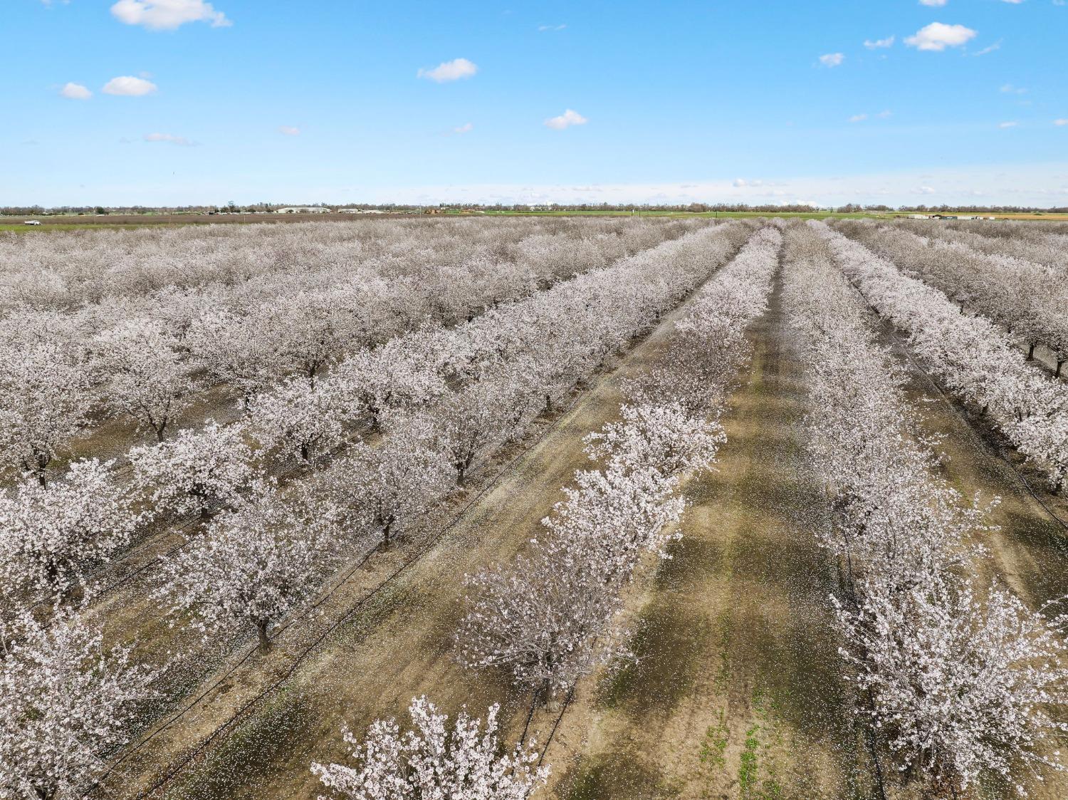 Davis, California, 95616, United States, ,3 BathroomsBathrooms,Residential,Active,1808296