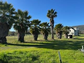 Guinda, California, 95637, United States, 2 Bedrooms Bedrooms, ,5 BathroomsBathrooms,Residential,Active,1894581