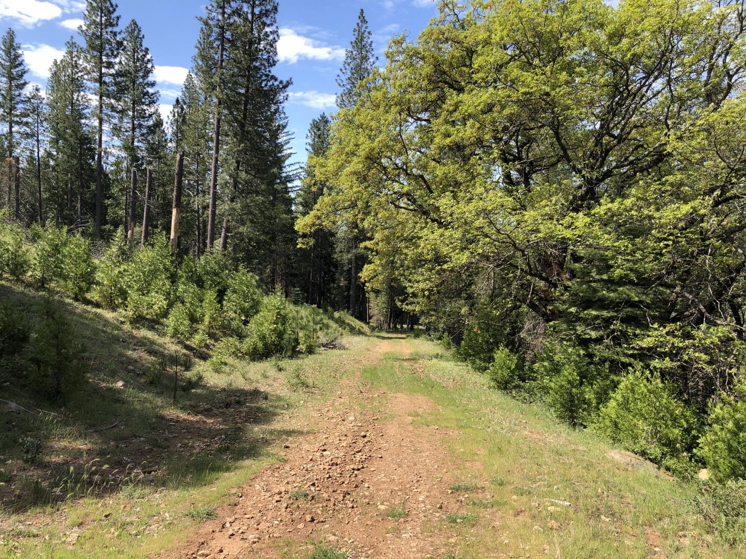 Pollock Pines, California, 95726, United States, 4 Bedrooms Bedrooms, ,3 BathroomsBathrooms,Residential,Active,1880012