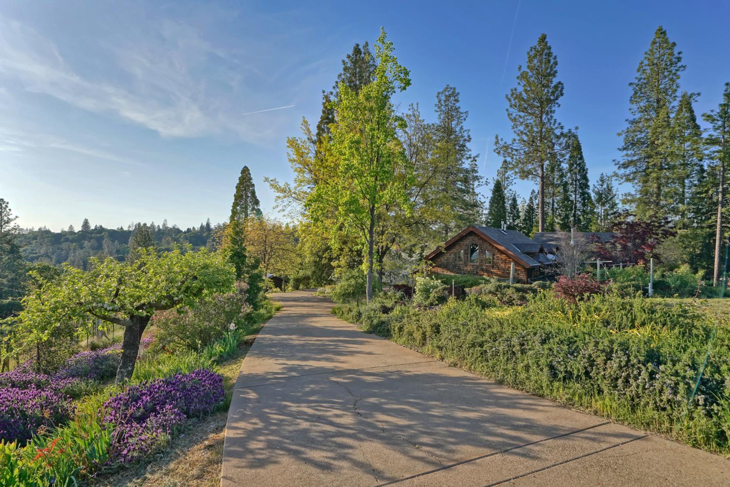 Placerville, California, 95667, United States, 3 Bedrooms Bedrooms, ,3 BathroomsBathrooms,Residential,Active,1834323