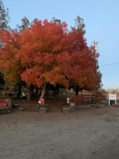 Lodi, California, 95240, United States, 3 Bedrooms Bedrooms, ,3 BathroomsBathrooms,Residential,Active,2001349