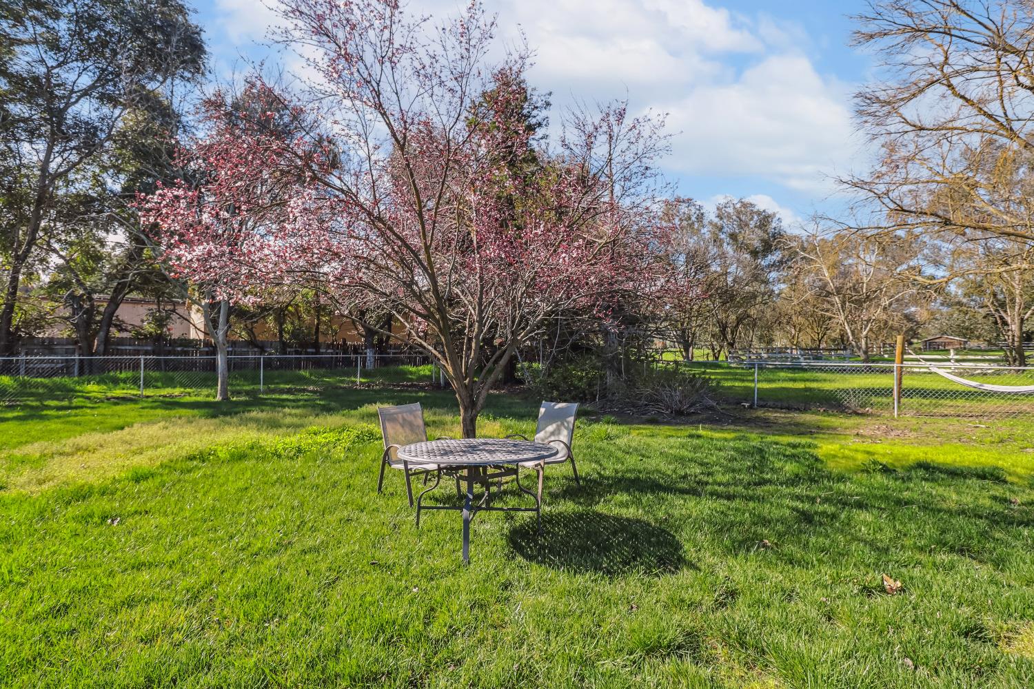 Woodland, California, 95695, United States, 4 Bedrooms Bedrooms, ,3 BathroomsBathrooms,Residential,Active,1929675