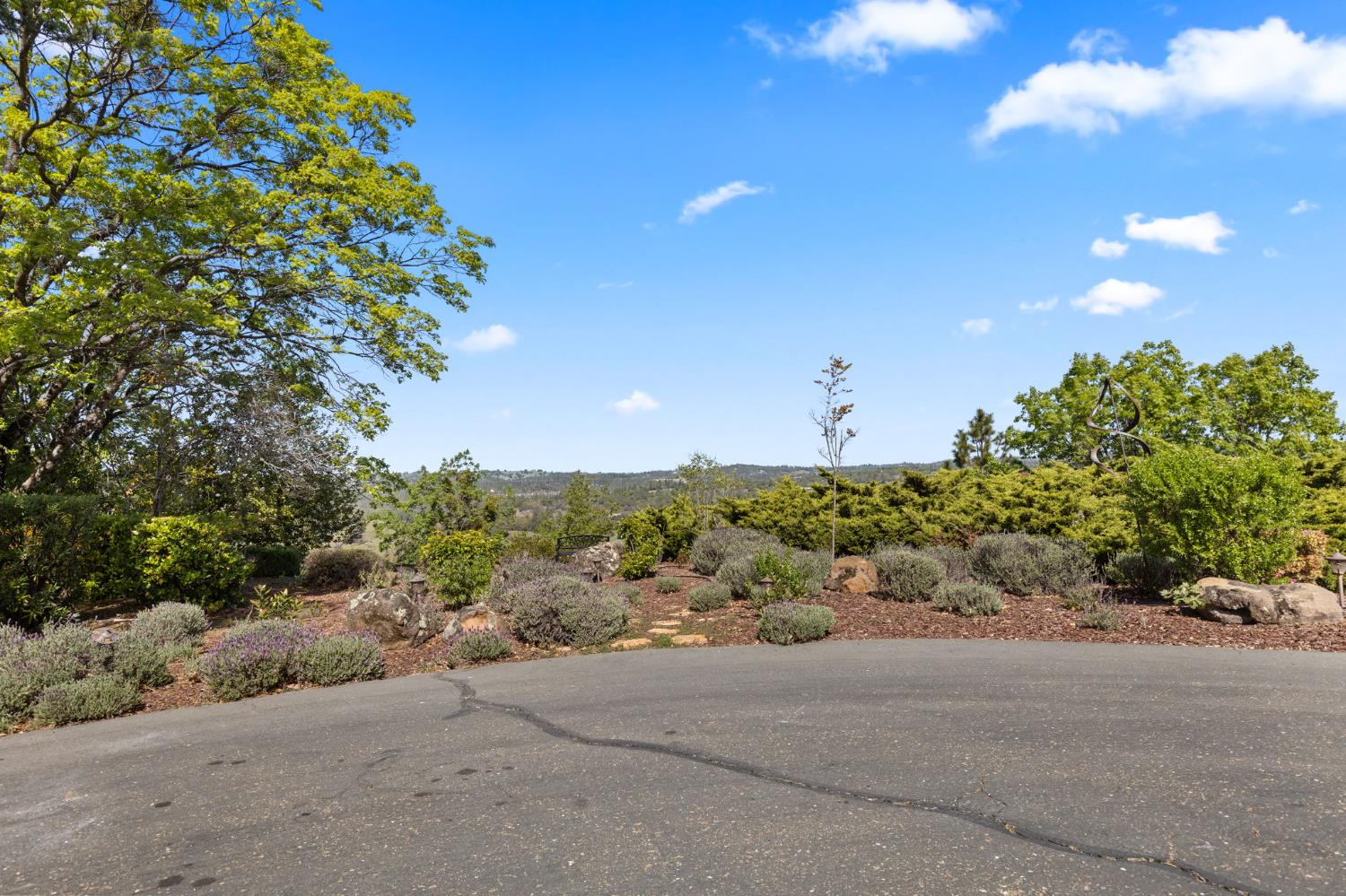 Jackson, California, 95642, United States, 2 Bedrooms Bedrooms, ,3 BathroomsBathrooms,Residential,Active,2026333