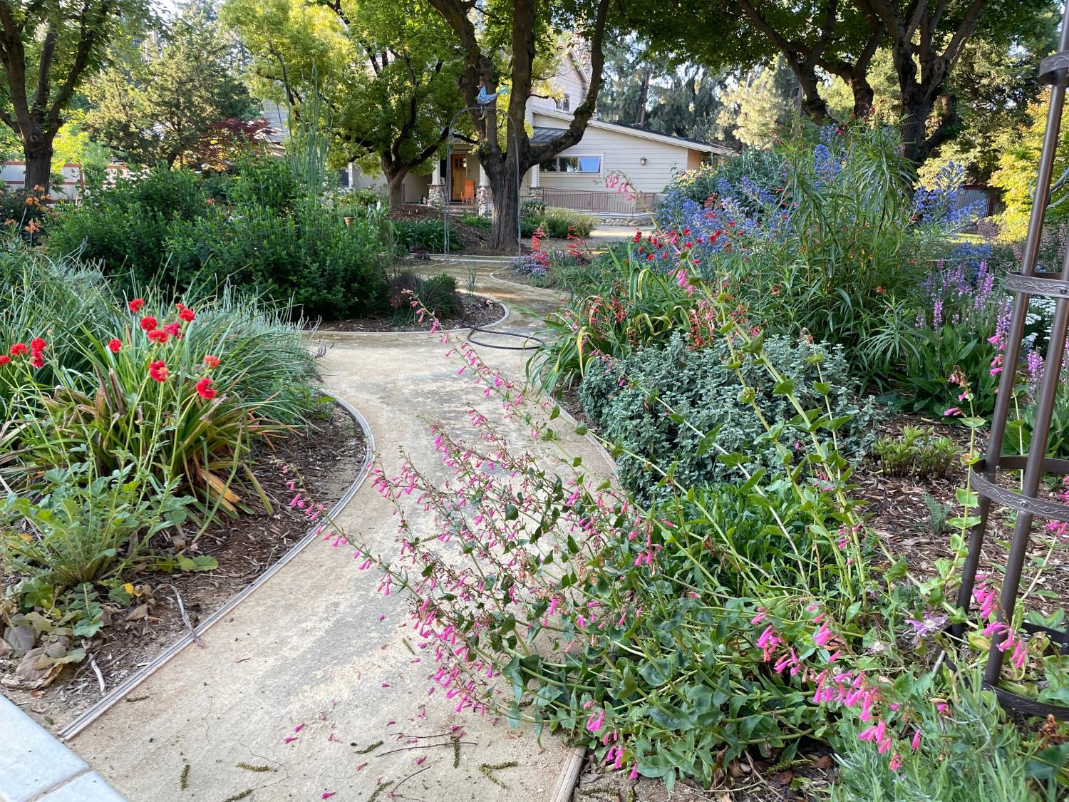 Davis, California, 95616, United States, ,5 BathroomsBathrooms,Residential,Active,1843441