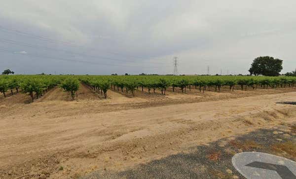 26666 ELLIOTT RD, GALT, CA 95632 - Image 1