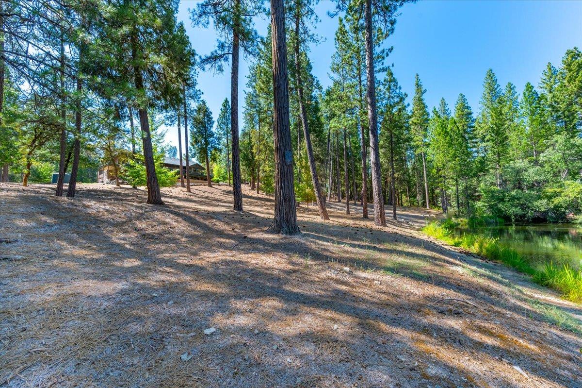 Nevada City, California, 95959, United States, 4 Bedrooms Bedrooms, ,4 BathroomsBathrooms,Residential,Active,2043131