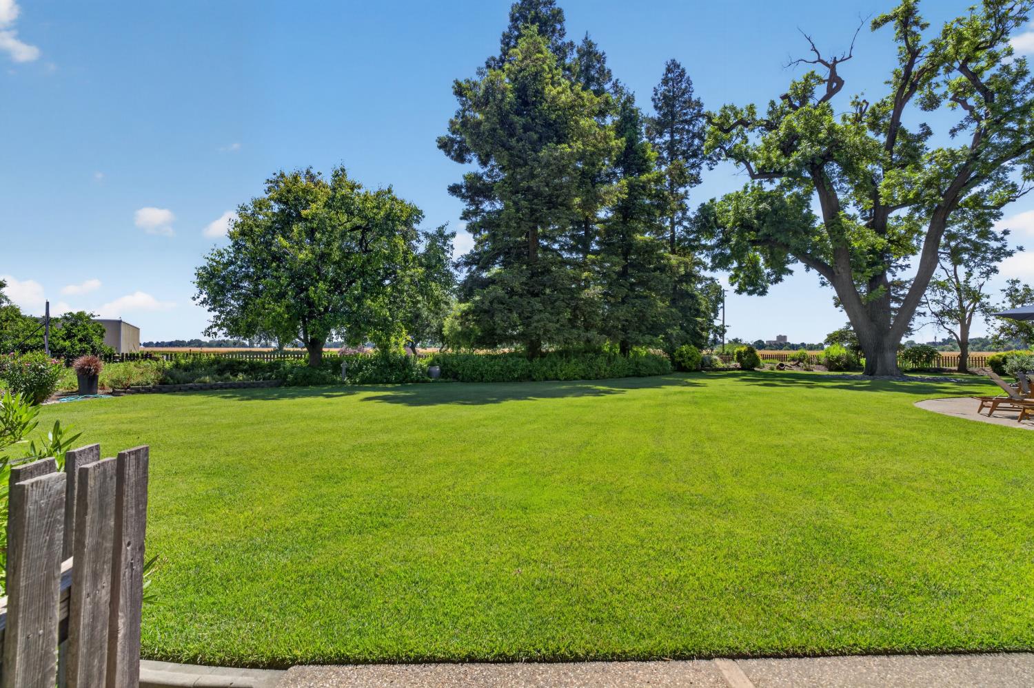 Woodland, California, 95776, United States, 5 Bedrooms Bedrooms, ,3 BathroomsBathrooms,Residential,Pending,2045625