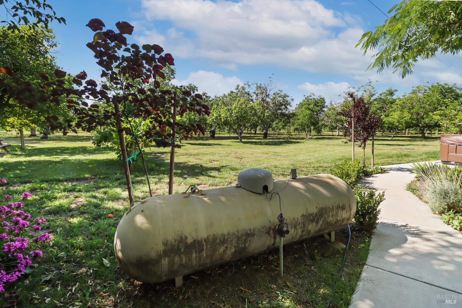 Winters, California, 95694, United States, 3 Bedrooms Bedrooms, ,2 BathroomsBathrooms,Residential,Active,1972159