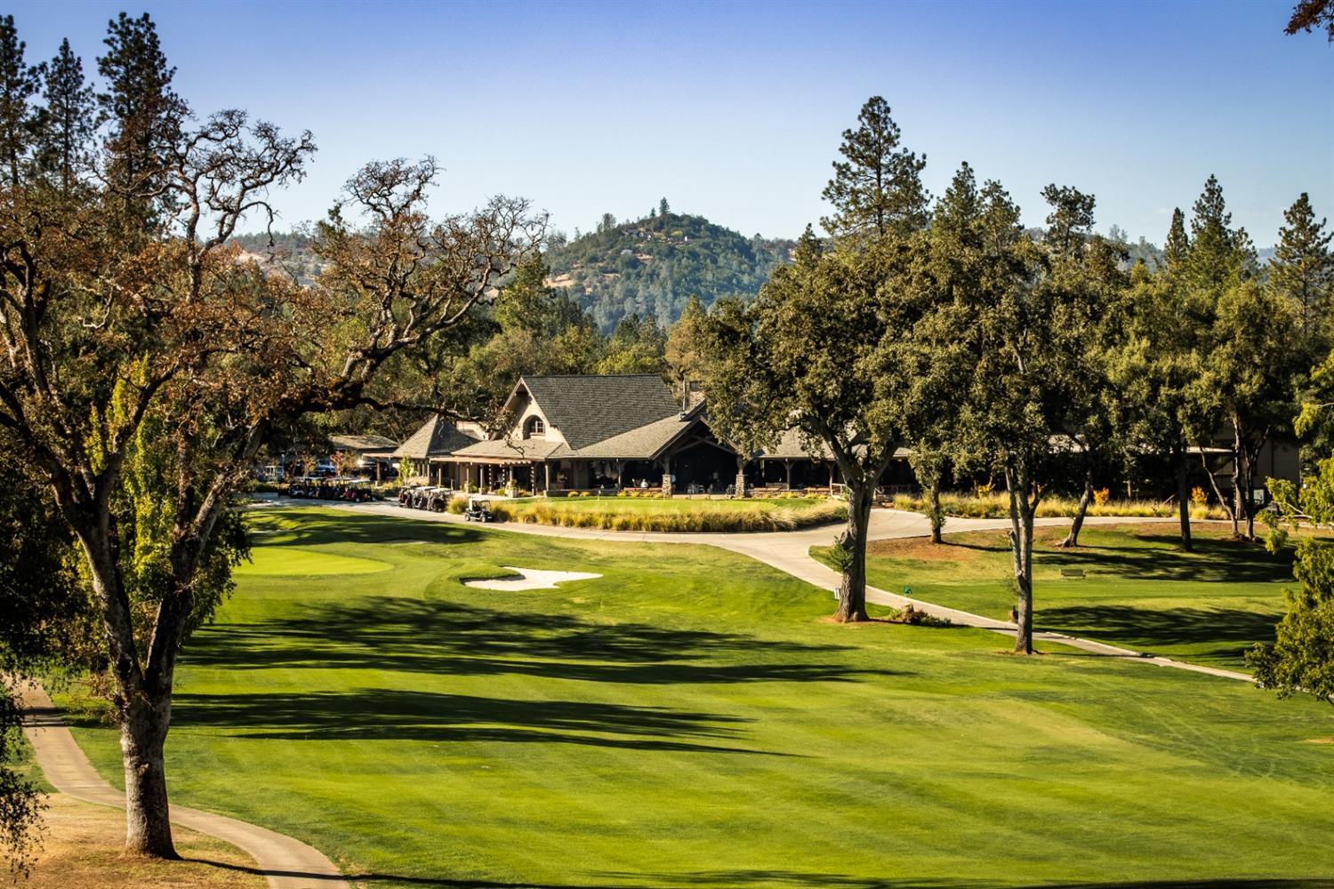 Penn Valley, California, 95946, United States, 3 Bedrooms Bedrooms, ,2 BathroomsBathrooms,Residential,Active,2008719