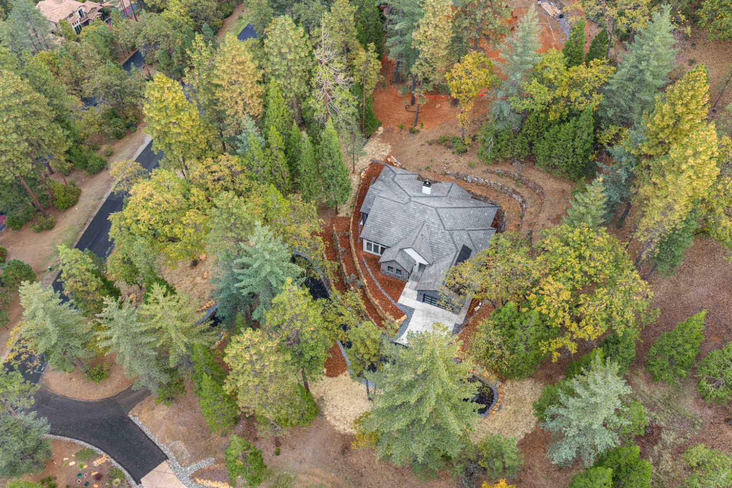 Meadow Vista, California, 95722, United States, 4 Bedrooms Bedrooms, ,4 BathroomsBathrooms,Residential,Active,1968421