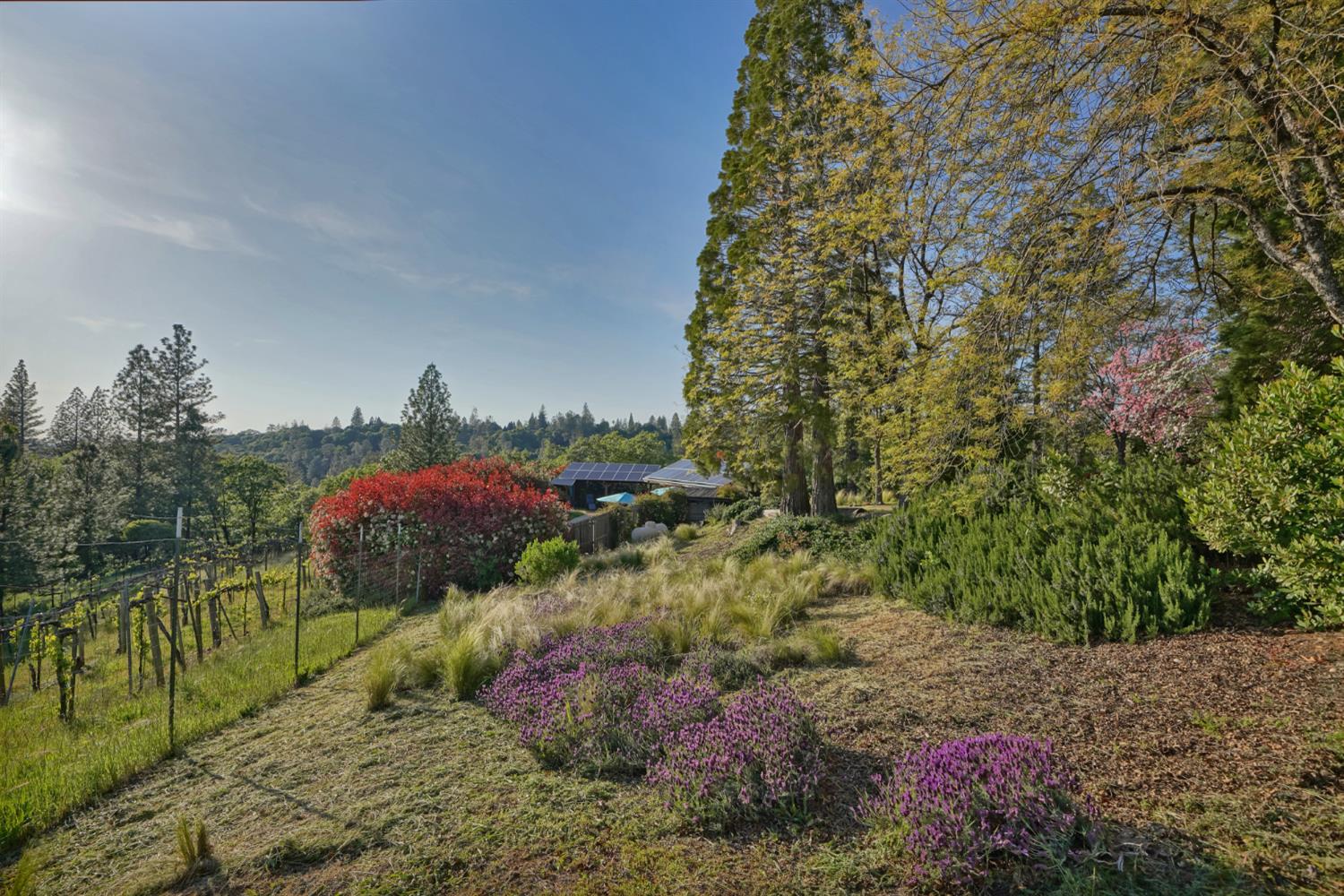 Placerville, California, 95667, United States, 3 Bedrooms Bedrooms, ,3 BathroomsBathrooms,Residential,Active,1834323