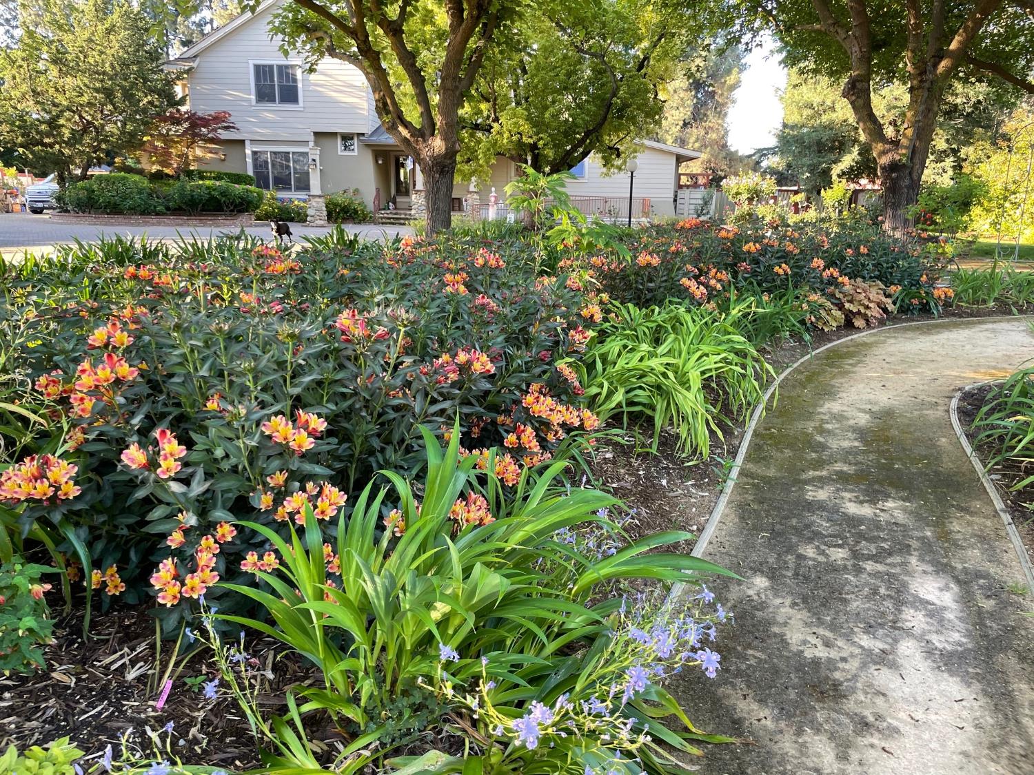 Davis, California, 95616, United States, ,5 BathroomsBathrooms,Residential,Active,1843441