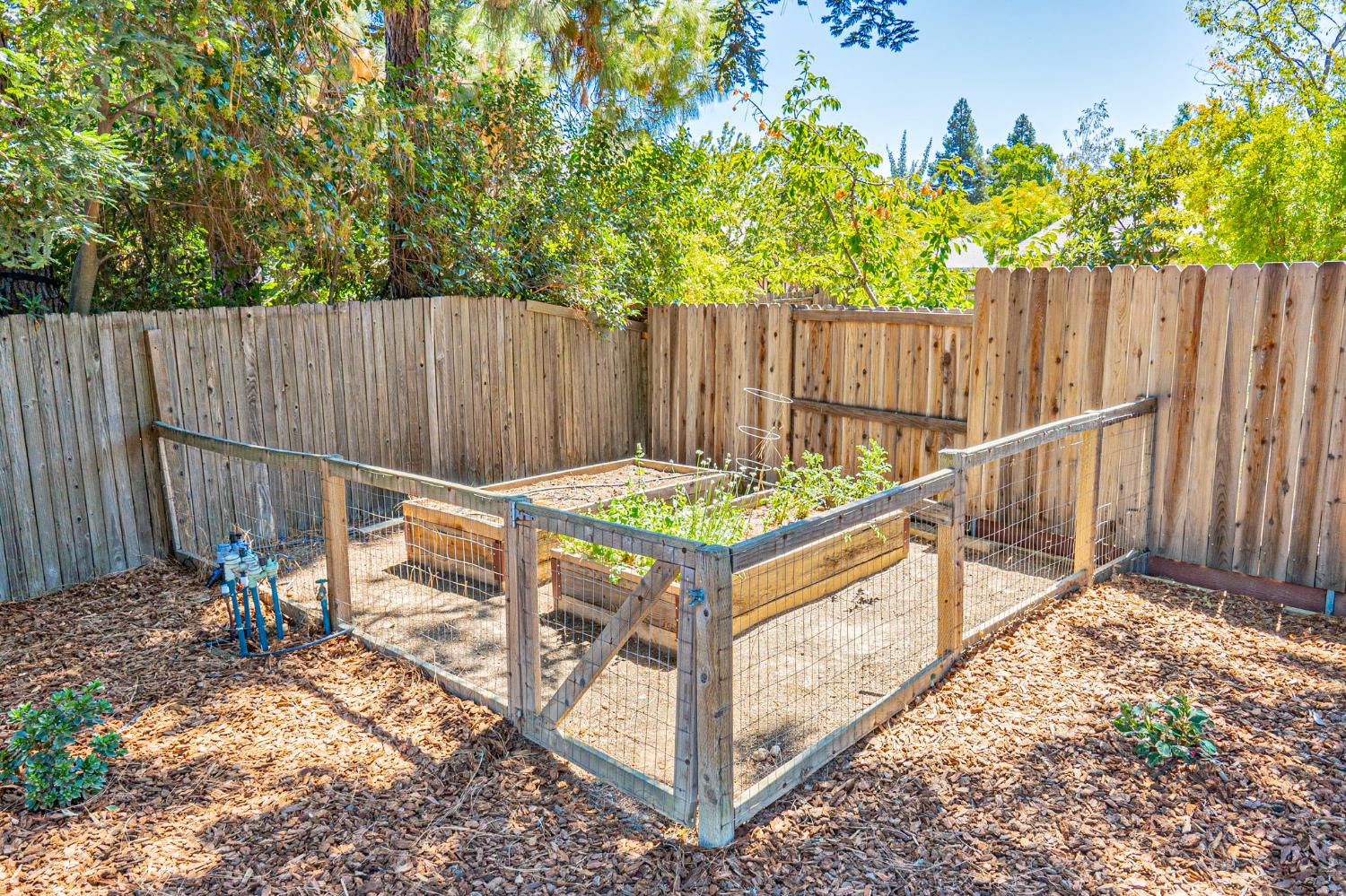 Davis, California, 95616, United States, 4 Bedrooms Bedrooms, ,2 BathroomsBathrooms,Residential,Active,1922306