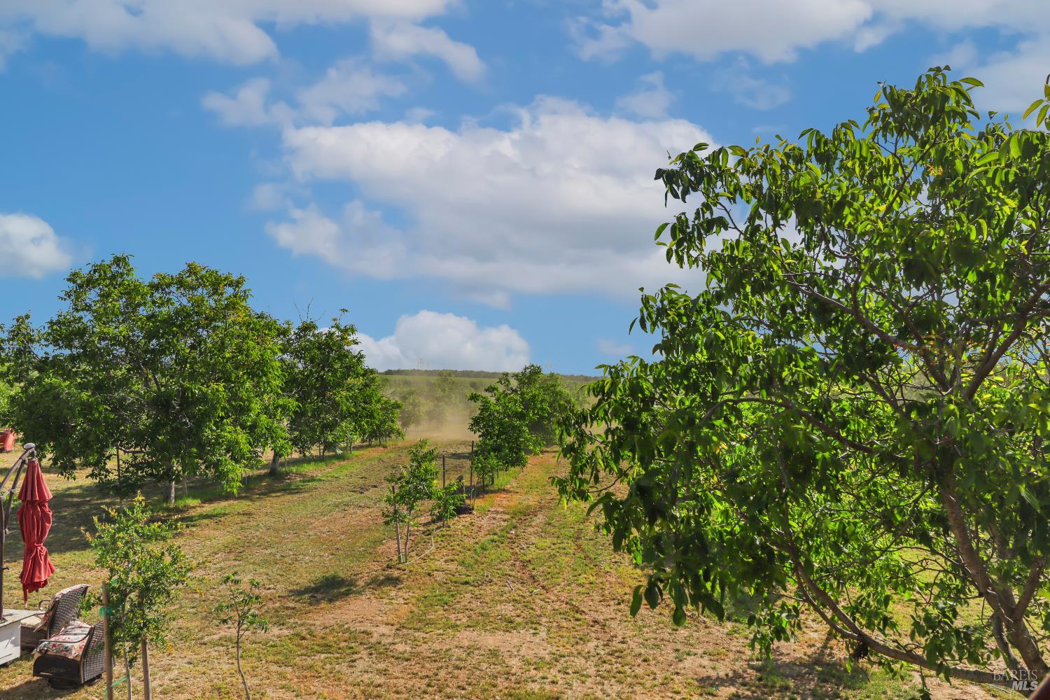 Winters, California, 95694, United States, 3 Bedrooms Bedrooms, ,2 BathroomsBathrooms,Residential,Active,1972159