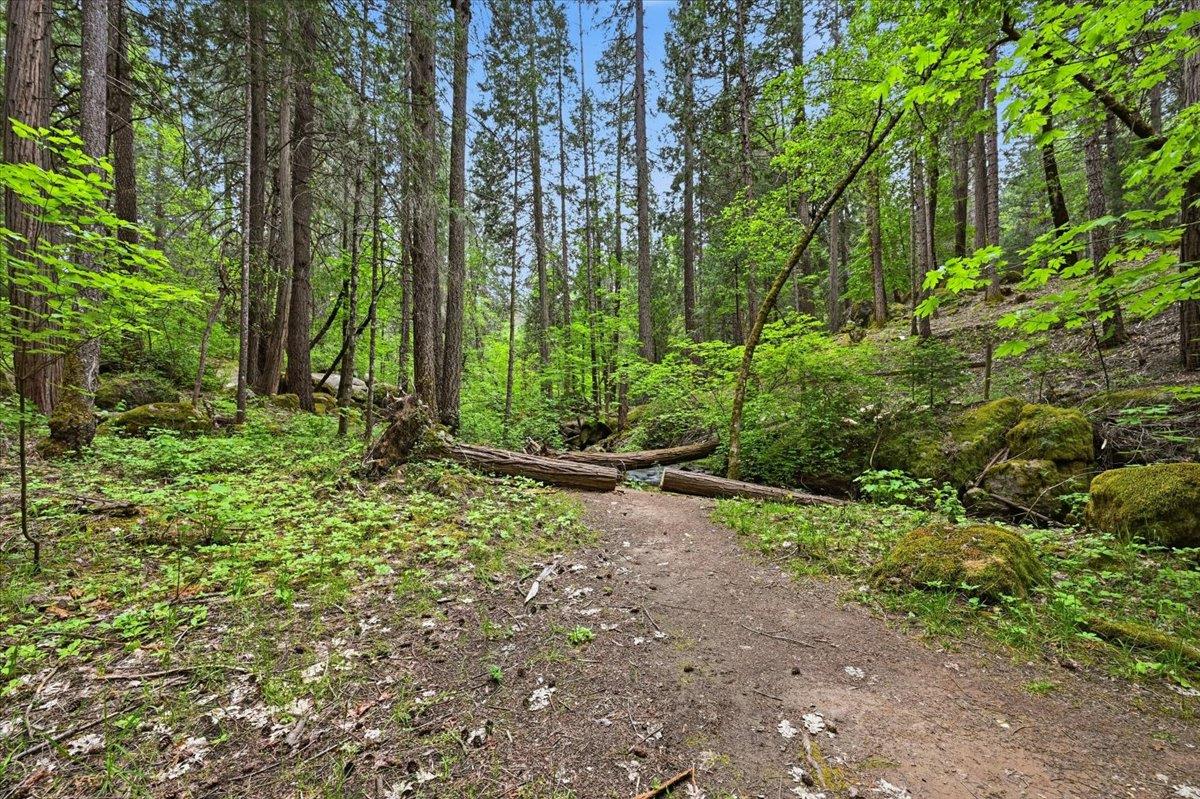 Nevada City, California, 95959, United States, 3 Bedrooms Bedrooms, ,3 BathroomsBathrooms,Residential,Active,2043425