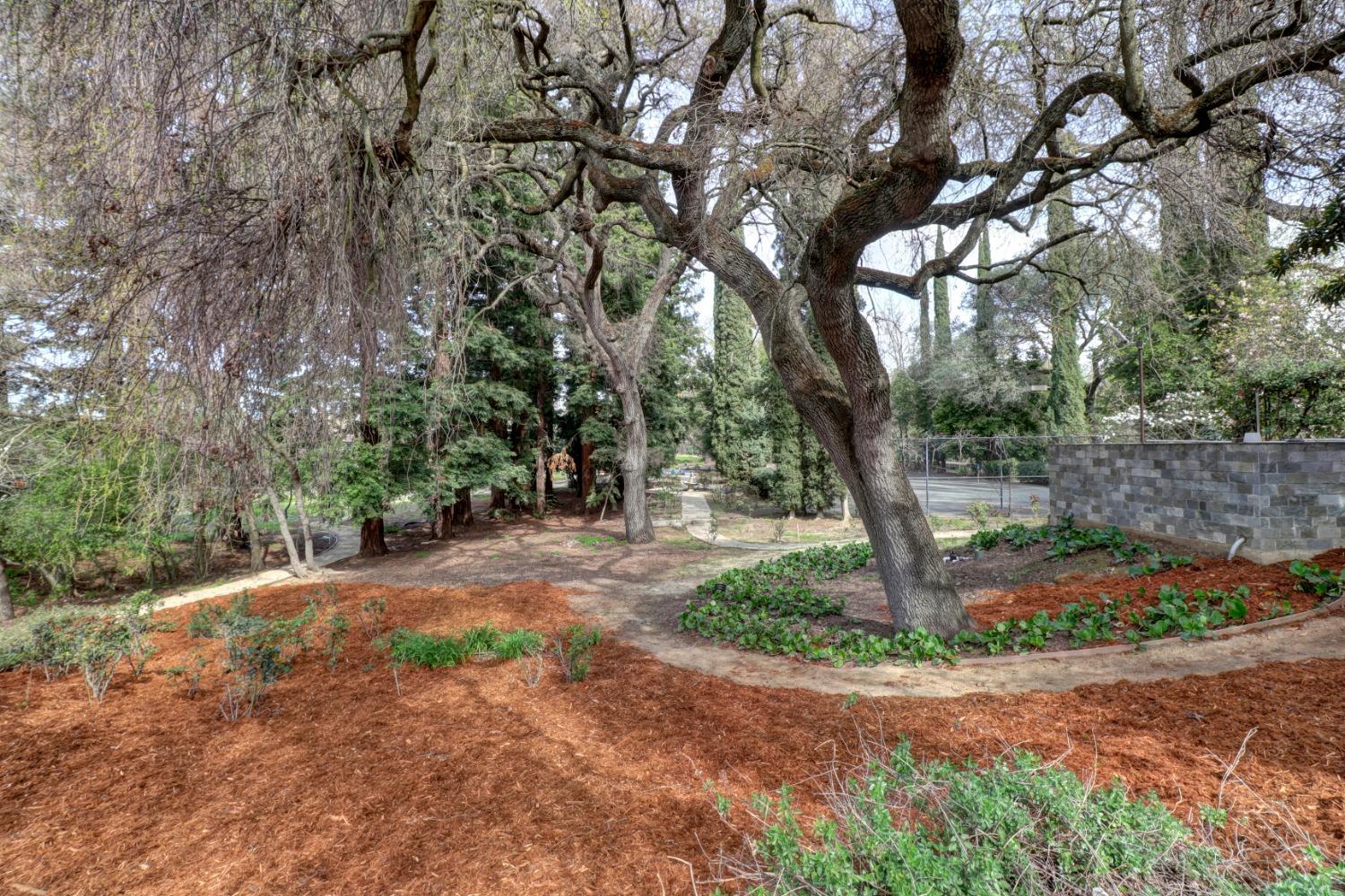 Sacramento, California, 95827, United States, 6 Bedrooms Bedrooms, ,7 BathroomsBathrooms,Residential,Active,1898041