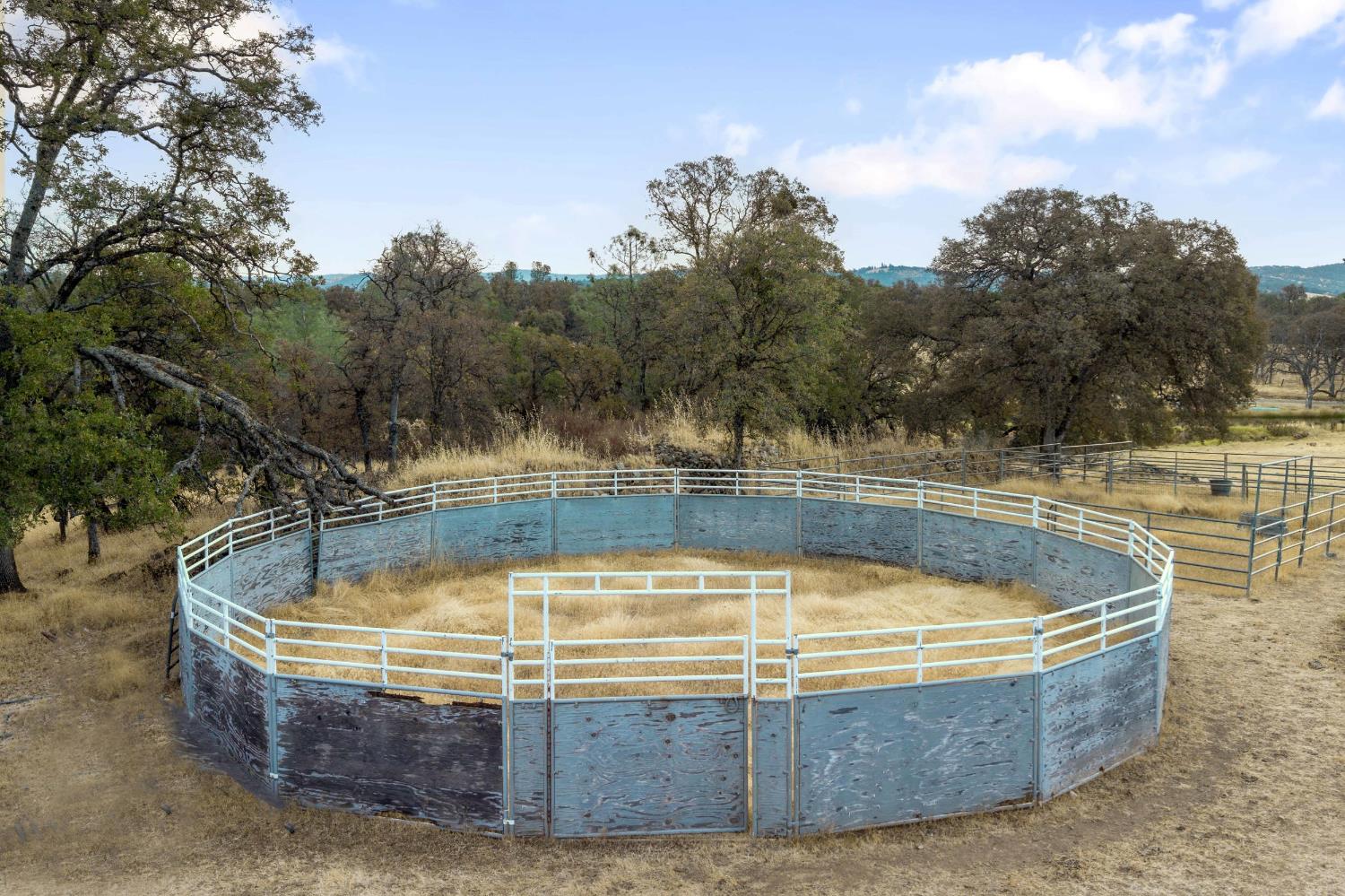 Smartsville, California, 95977, United States, 1 Bedroom Bedrooms, ,3 BathroomsBathrooms,Residential,Active,1952299