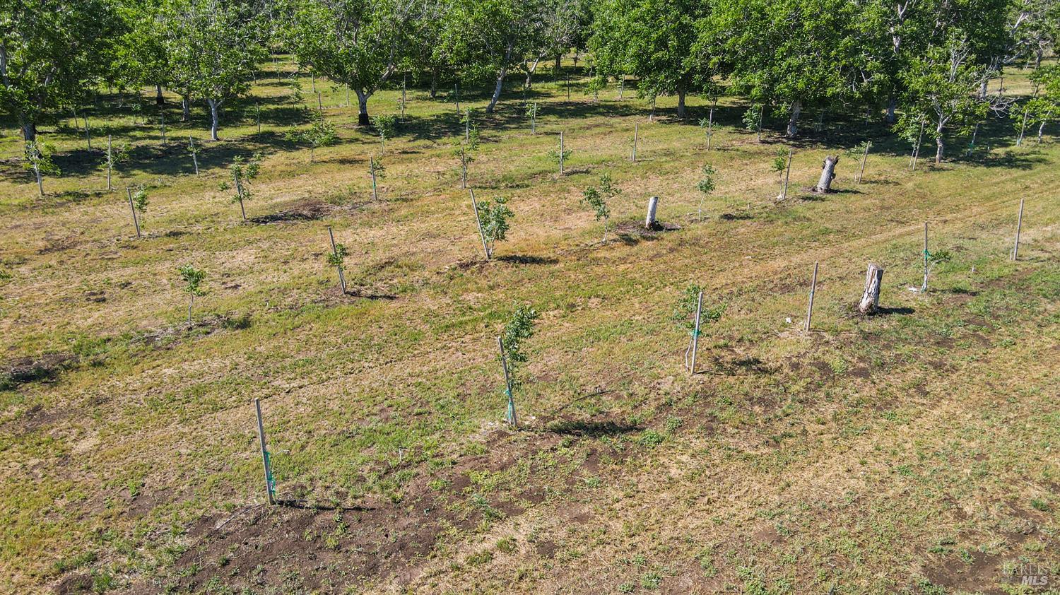 Winters, California, 95694, United States, 3 Bedrooms Bedrooms, ,2 BathroomsBathrooms,Residential,Active,1972159