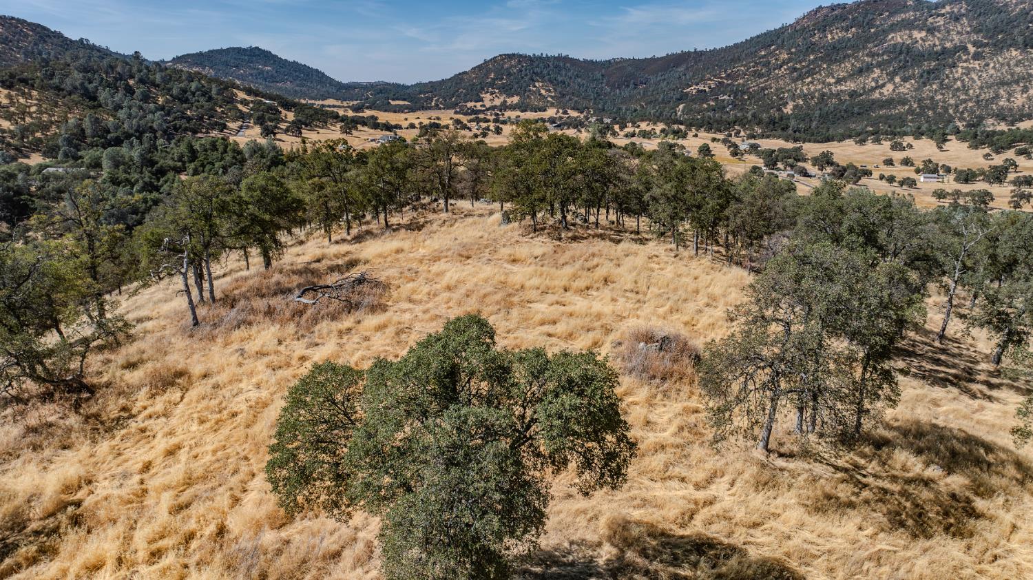 Angels Camp, California, 95222, United States, 3 Bedrooms Bedrooms, ,2 BathroomsBathrooms,Residential,Active,1942399