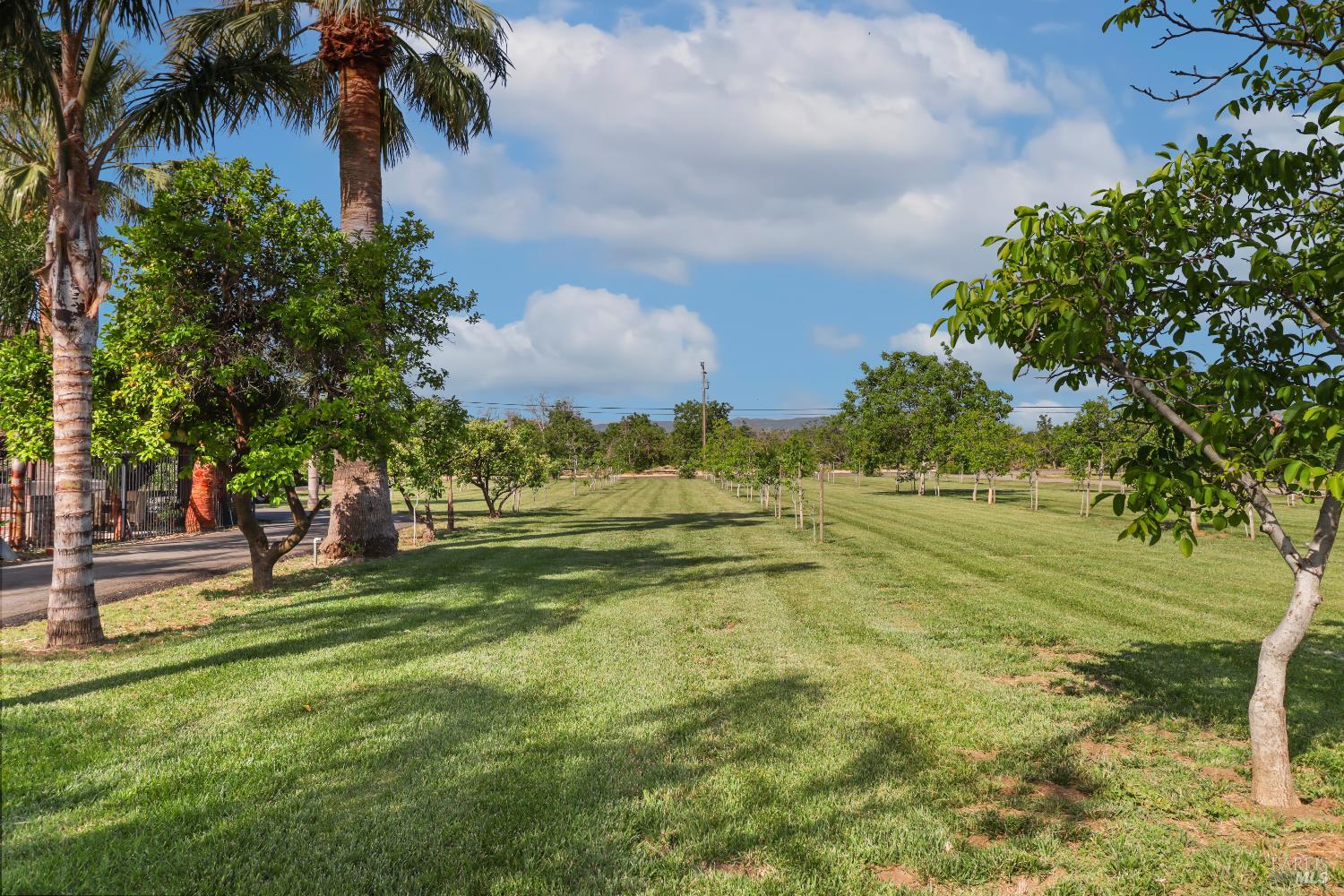 Winters, California, 95694, United States, 3 Bedrooms Bedrooms, ,2 BathroomsBathrooms,Residential,Active,1972159