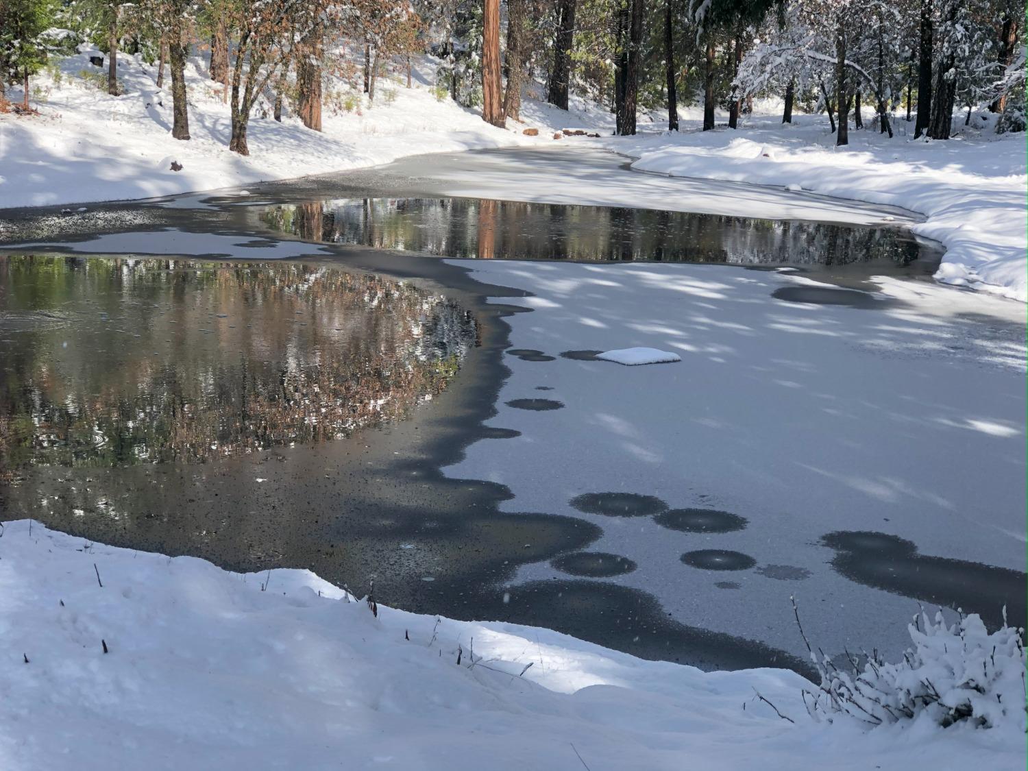 Pollock Pines, California, 95726, United States, 4 Bedrooms Bedrooms, ,3 BathroomsBathrooms,Residential,Active,1880012