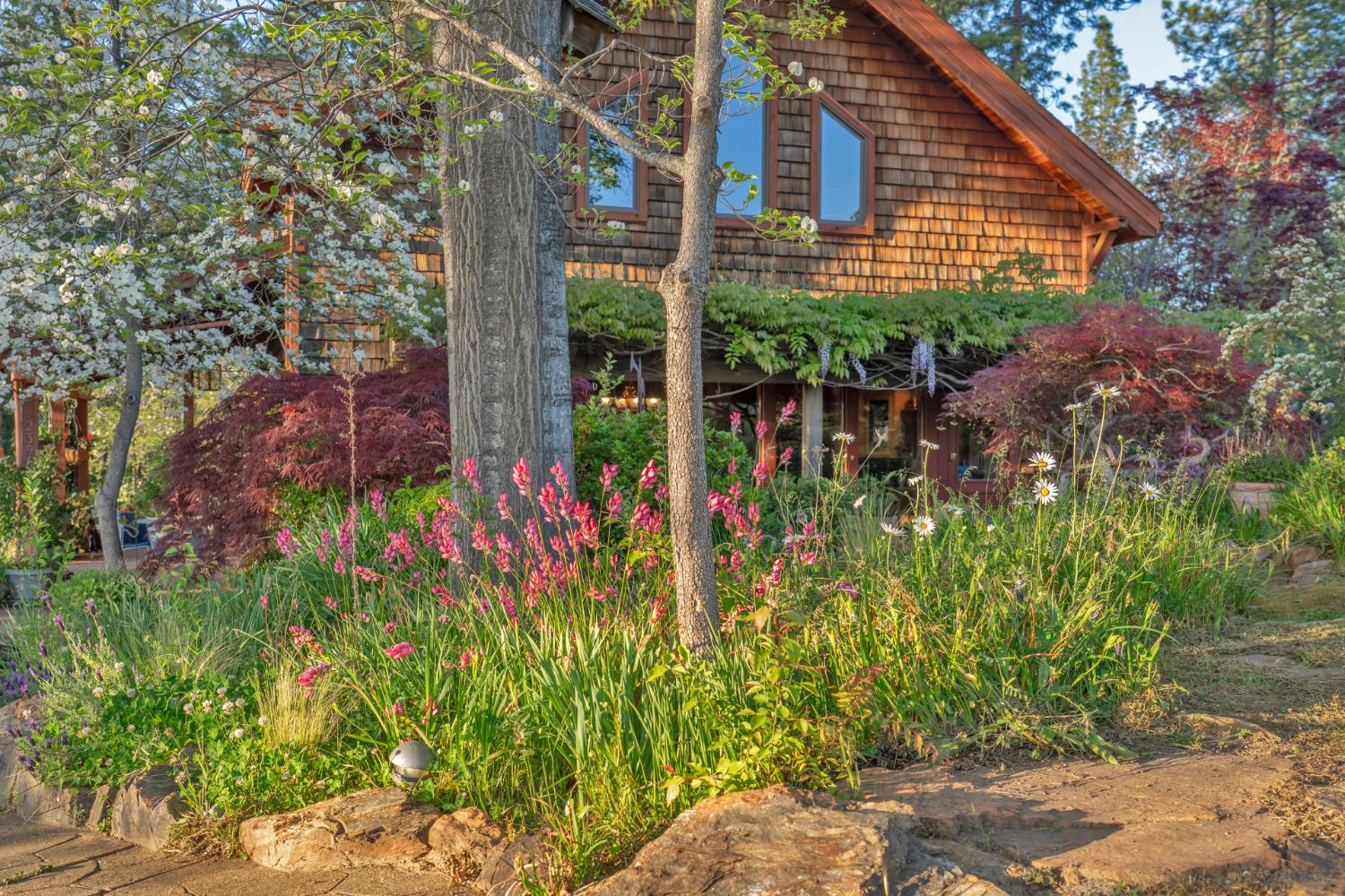 Placerville, California, 95667, United States, 3 Bedrooms Bedrooms, ,3 BathroomsBathrooms,Residential,Active,1834323