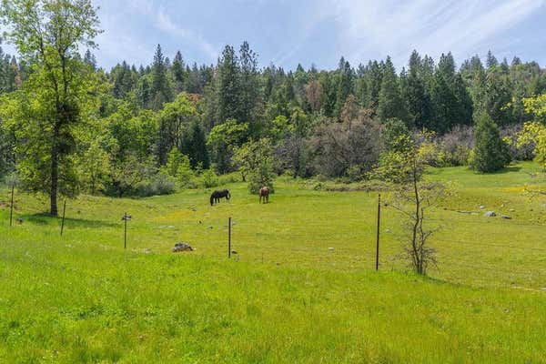 0 SCHAEFER RANCH RD, PIONEER, CA 95666 - Image 1