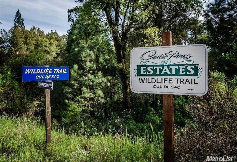 29 WILDLIFE TRAIL, FIDDLETOWN, CA 95629, photo 1 of 6