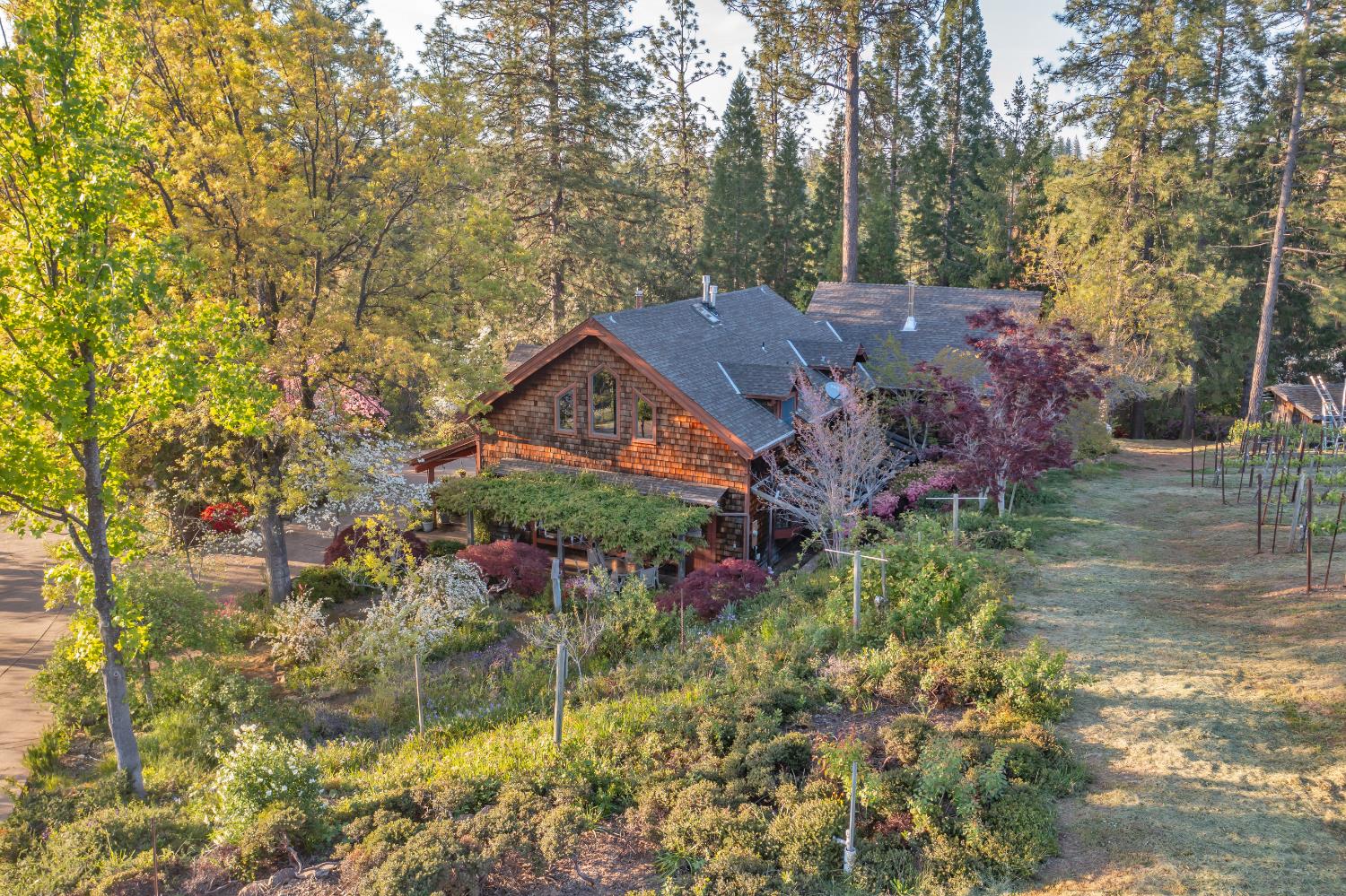 Placerville, California, 95667, United States, 3 Bedrooms Bedrooms, ,3 BathroomsBathrooms,Residential,Active,1834323