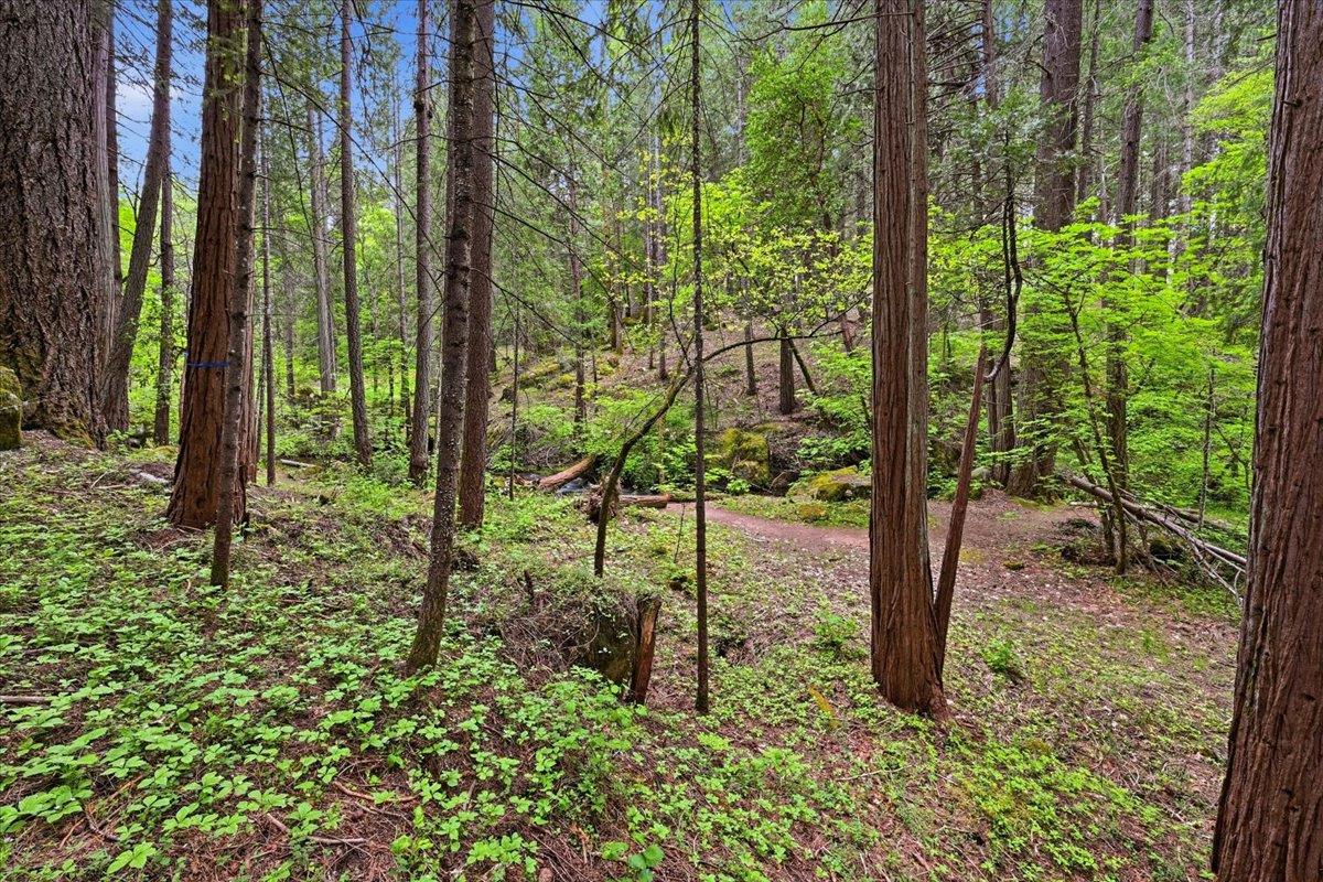 Nevada City, California, 95959, United States, 3 Bedrooms Bedrooms, ,3 BathroomsBathrooms,Residential,Active,2043425