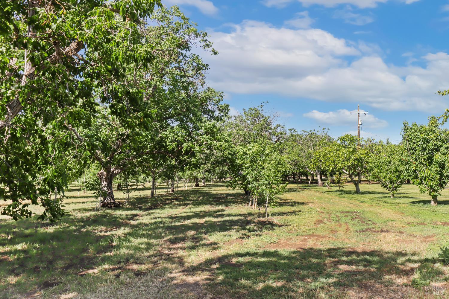 Winters, California, 95694, United States, 3 Bedrooms Bedrooms, ,2 BathroomsBathrooms,Residential,Active,1972159