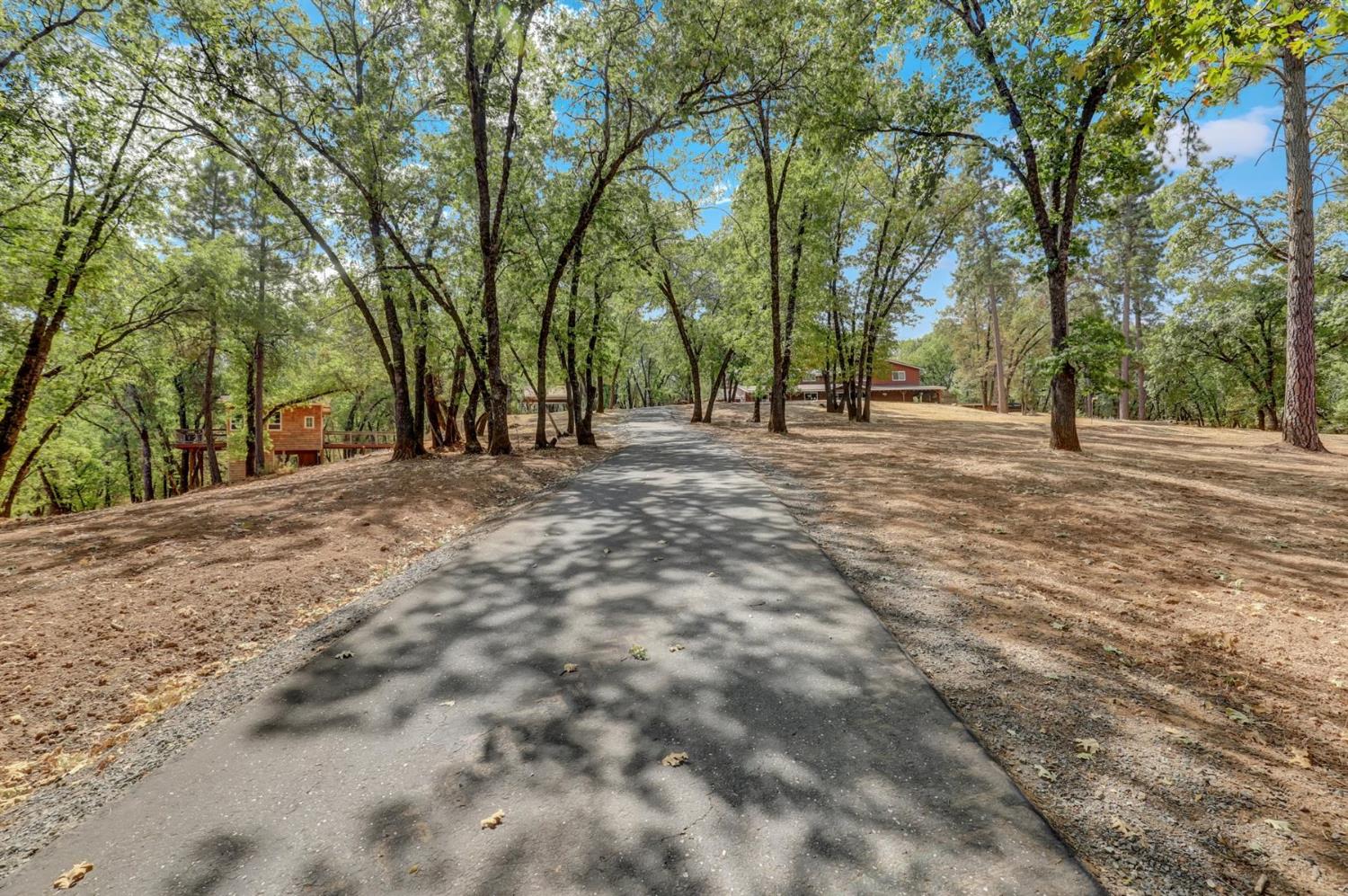 Grass Valley, California, 95949, United States, 4 Bedrooms Bedrooms, ,5 BathroomsBathrooms,Residential,Active,1941342