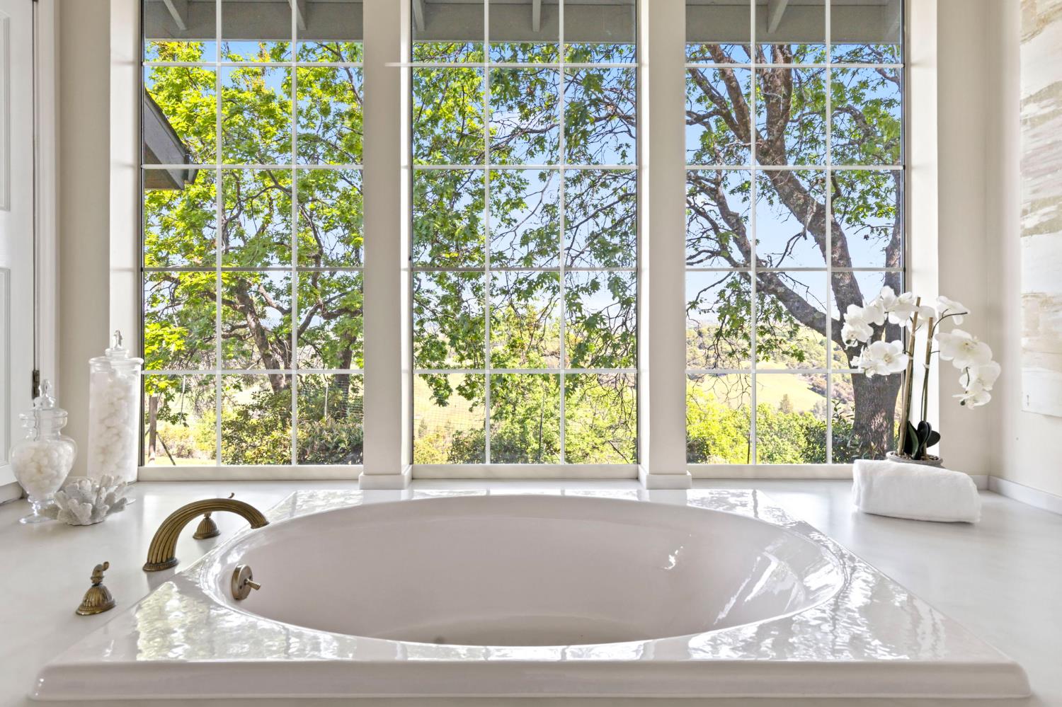 Jackson, California, 95642, United States, 2 Bedrooms Bedrooms, ,3 BathroomsBathrooms,Residential,Active,2026333
