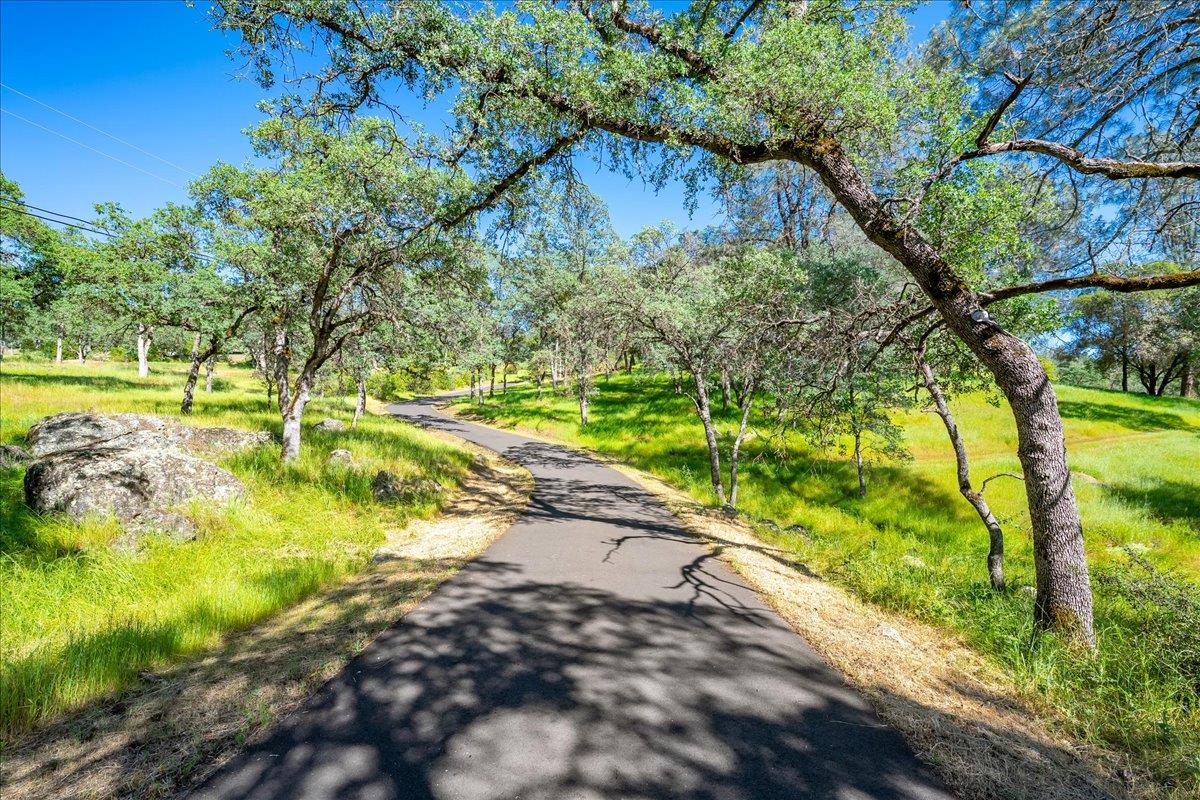 Placerville, California, 95667, United States, 4 Bedrooms Bedrooms, ,3 BathroomsBathrooms,Residential,Active,2034648
