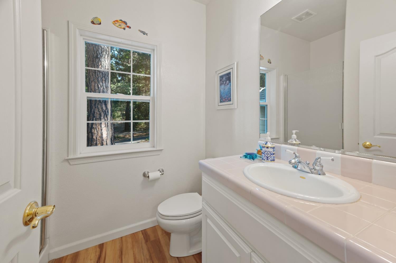 Nevada City, California, 95959, United States, 3 Bedrooms Bedrooms, ,4 BathroomsBathrooms,Residential,Active,1919052