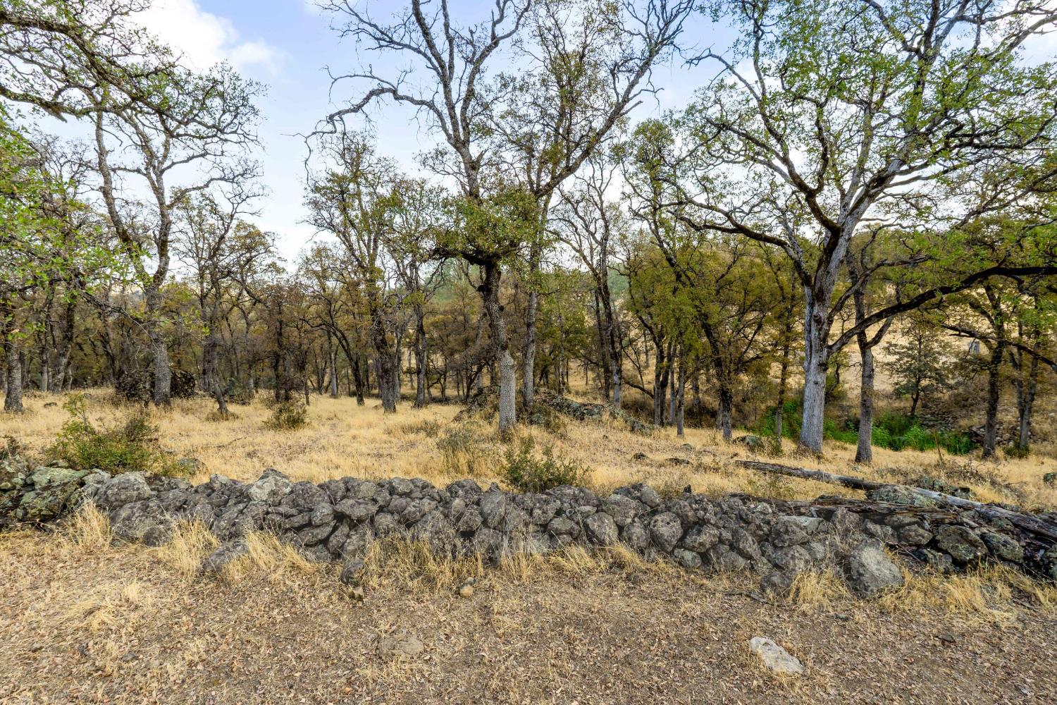 Smartsville, California, 95977, United States, 1 Bedroom Bedrooms, ,3 BathroomsBathrooms,Residential,Active,1952299