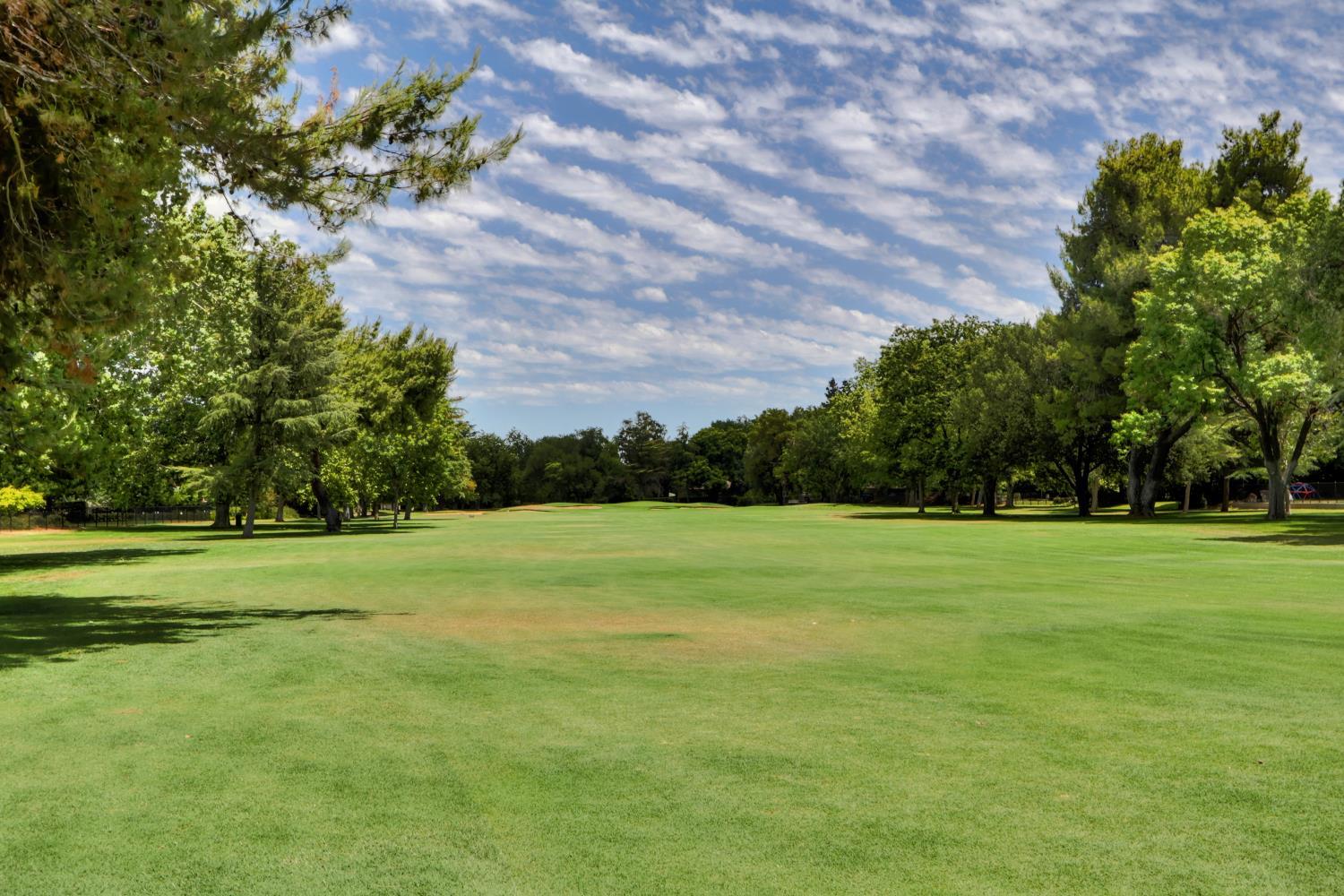 El Macero, California, 95618, United States, 3 Bedrooms Bedrooms, ,3 BathroomsBathrooms,Residential,Active,1972139